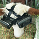 Le métaverse est déjà là pour les vaches et c'est très triste 1 Une vache portant deux casques VR à côté d'autres vaches ne portant aucun équipement VR.